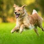 SHF 2014 Okt IMG 6068 Bearbeitet WEB Kopie   6 | Impressum