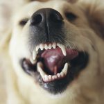 AdobeStock 107017585 Klein | Impressum