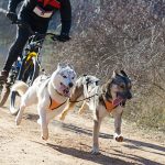 AdobeStock 200405923 Klein | Impressum