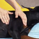 AdobeStock 531118132 Klein | Impressum