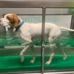 Image00003 Klein | Impressum