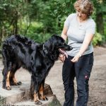 Birke 5.8.2021 0022 Web | Impressum