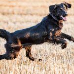 Birke 5.8.2021 0113 Web | Impressum