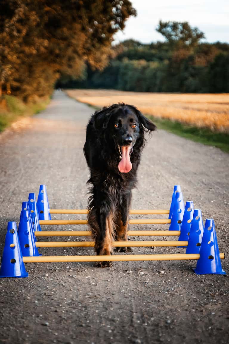 Birke_5.8.2021_0127_web