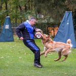 Hundherum Hundetraining Sicherheit | Impressum