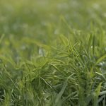 AdobeStock 1278251583 | Impressum