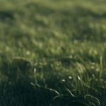 AdobeStock 1278372164 | Impressum