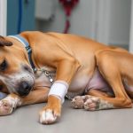 AdobeStock 1361850007 Scaled | Impressum