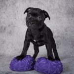 AdobeStock 522016185 | Impressum