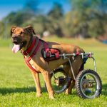 AdobeStock 523046004 | Impressum