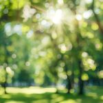 AdobeStock 898160173 | Impressum