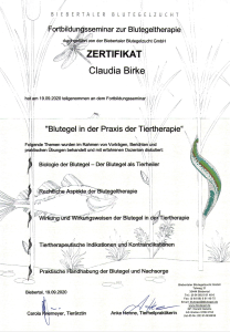 Bildschirmfoto 2025 07 24 Um 12.01.45 | Über Claudia Birke