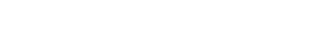 Hunde Weiss 2 Scaled | Hundephysiotherapie & Hundeosteopathie in Düsseldorf