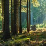 AdobeStock 222632647 | Impressum