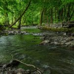 AdobeStock 510195578 | Impressum